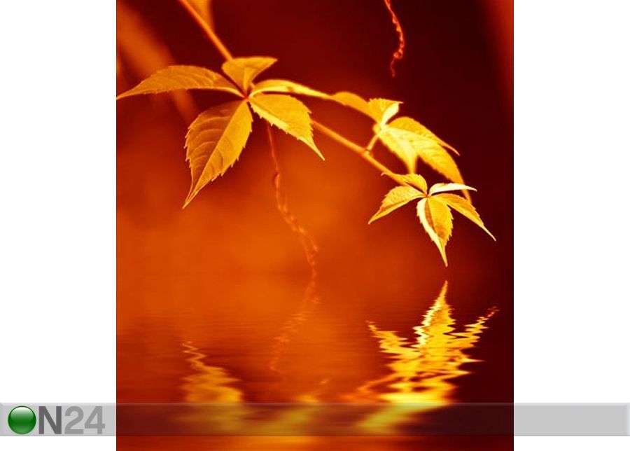 Taulu GOLDEN LEAVES REFLECTED IN RENDERED WATER 40x45 cm kuvasuurennos