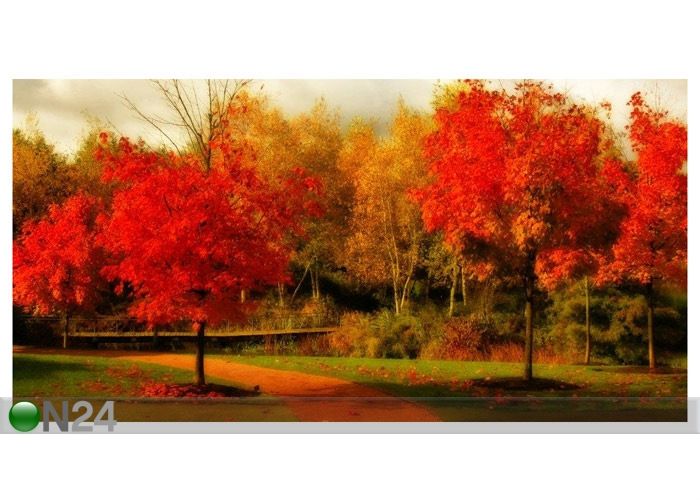 Taulu GORGEOUS FALL COLORS 78x40 cmm kuvasuurennos