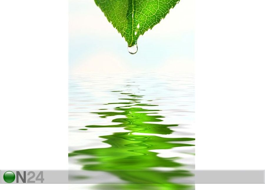 Taulu GREEN LEAF WITH WATER DROPLET 60x90 cm kuvasuurennos