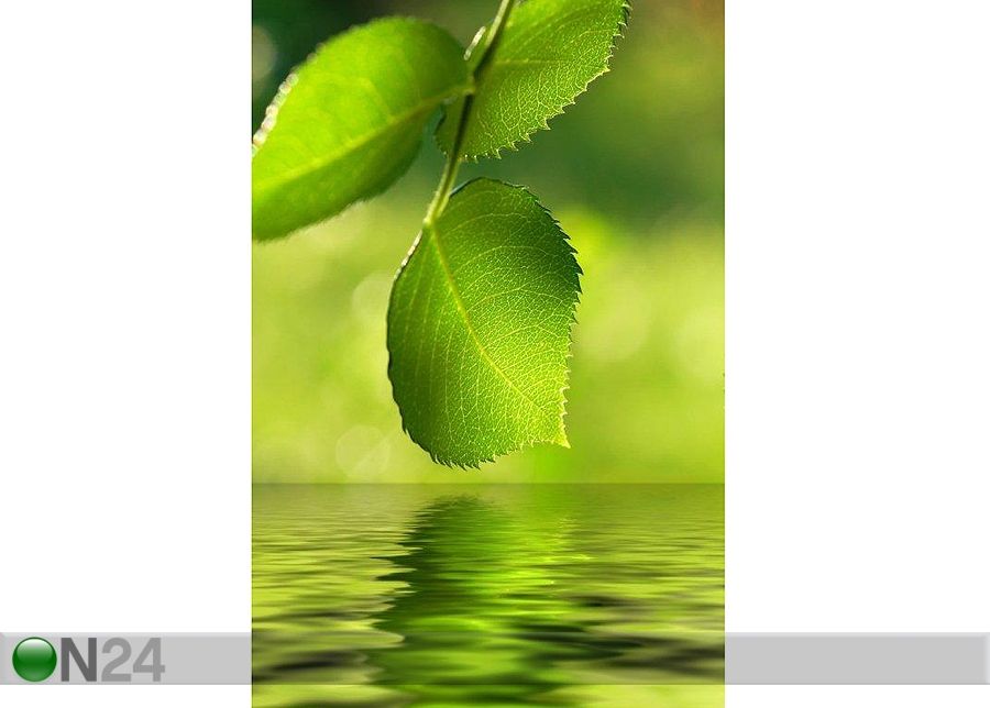 Taulu GREEN LEAVES 100x150 cm kuvasuurennos
