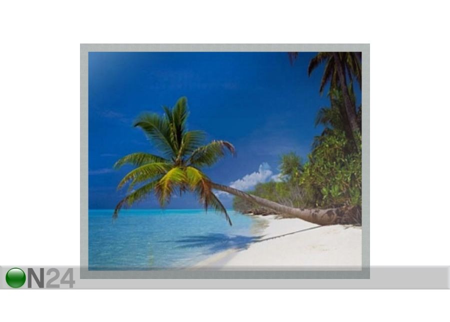 Taulu MODERN - PALM 40x50 cm kuvasuurennos