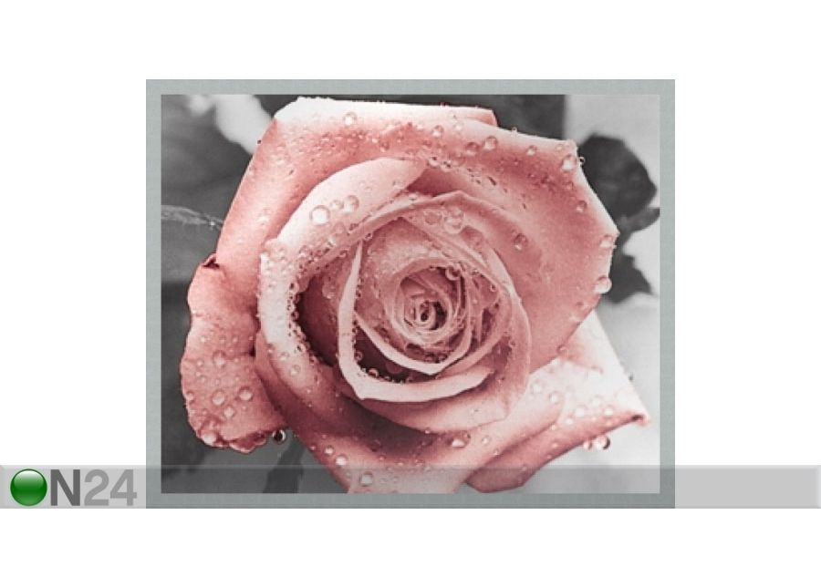 Taulu MODERN - PINK ROSE1 40x50 cm kuvasuurennos