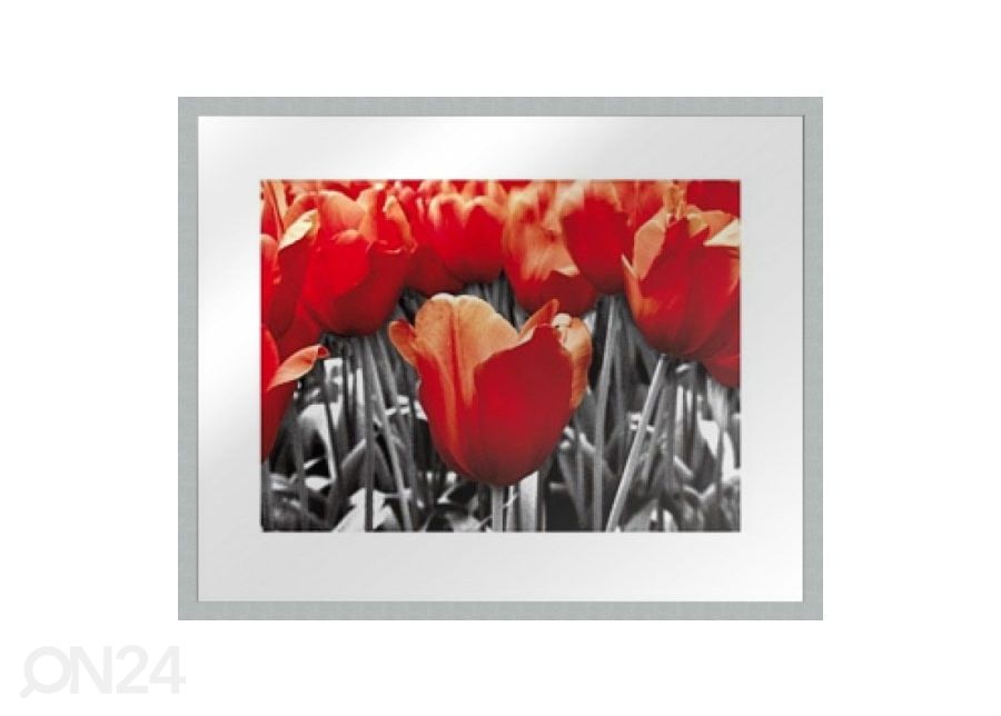 Taulu MODERN - PUNAISET TULPPAANIT 40x50 cm kuvasuurennos
