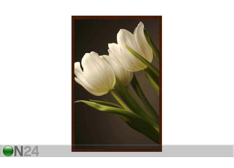 Taulu MODERN - VALKOISET TULPPAANIT 47x68 cm kuvasuurennos