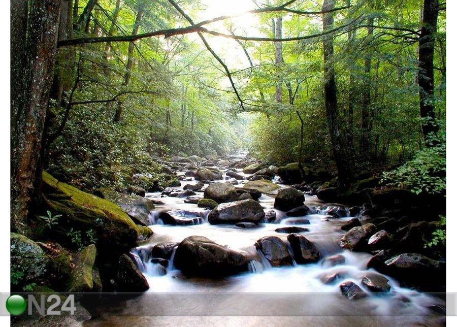 Taulu MOUNTAIN RIVER 146x110 cm kuvasuurennos