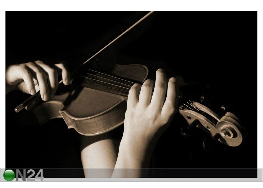 Taulu MUSICIAN PLAYING VIOLIN ISOLATED ON BLACK 105x70 cm kuvasuurennos