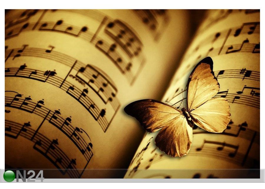 Taulu OPEN MUSIC BOOK AND A BUTTERFLY 75x50 cm kuvasuurennos
