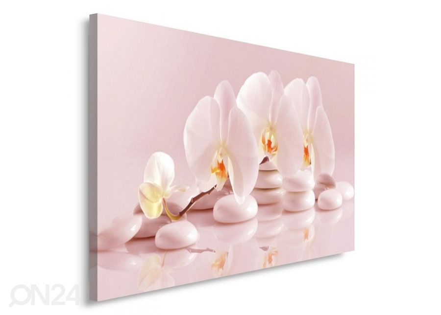 Taulu Orchid 30x40 cm kuvasuurennos