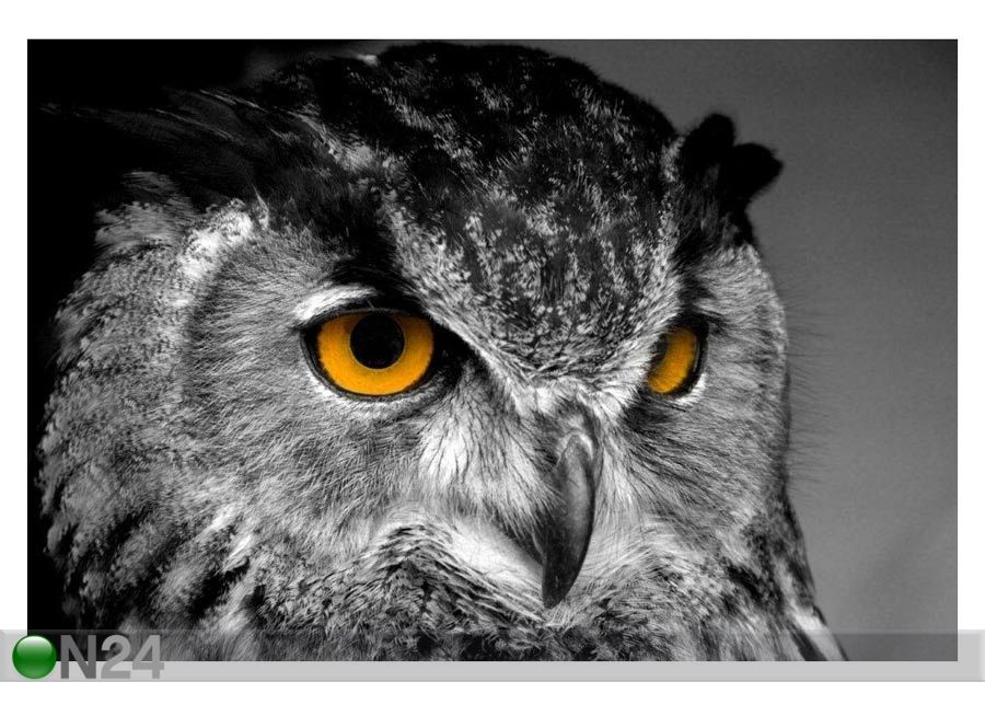 Taulu OWL WITH MAGIC YELLOW EYES 120x80 cm kuvasuurennos