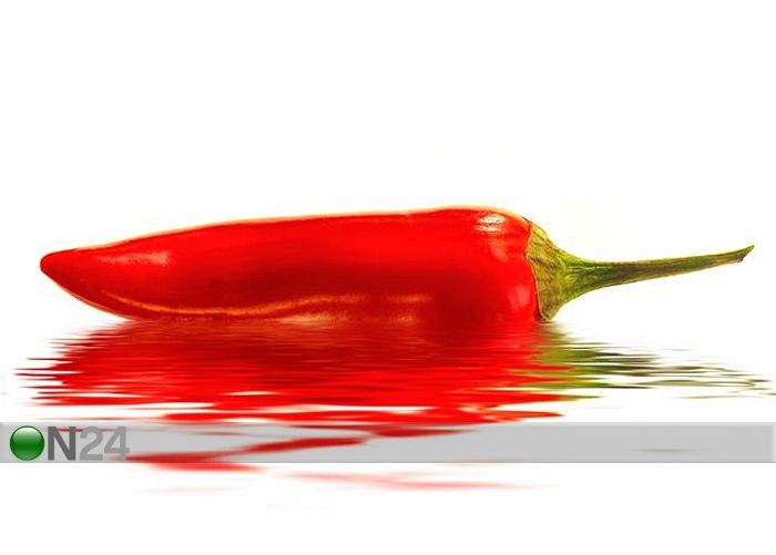 Taulu RED HOT PEPPER ISOLATED 132x80 cm kuvasuurennos