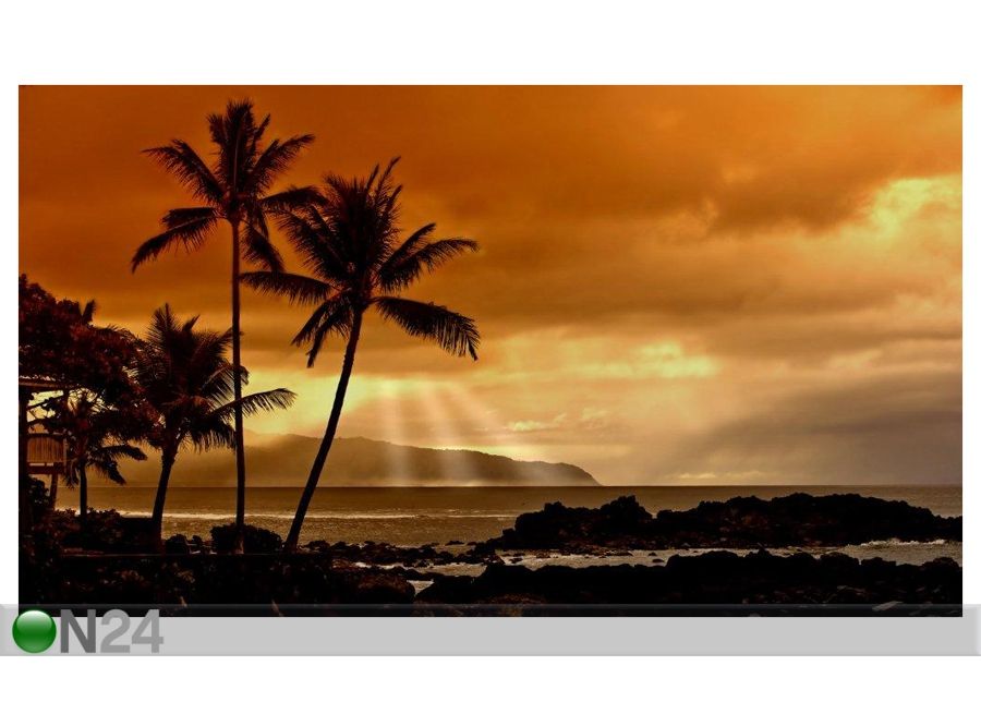 Taulu ROMANTIC SUNSET 71x40 cm kuvasuurennos