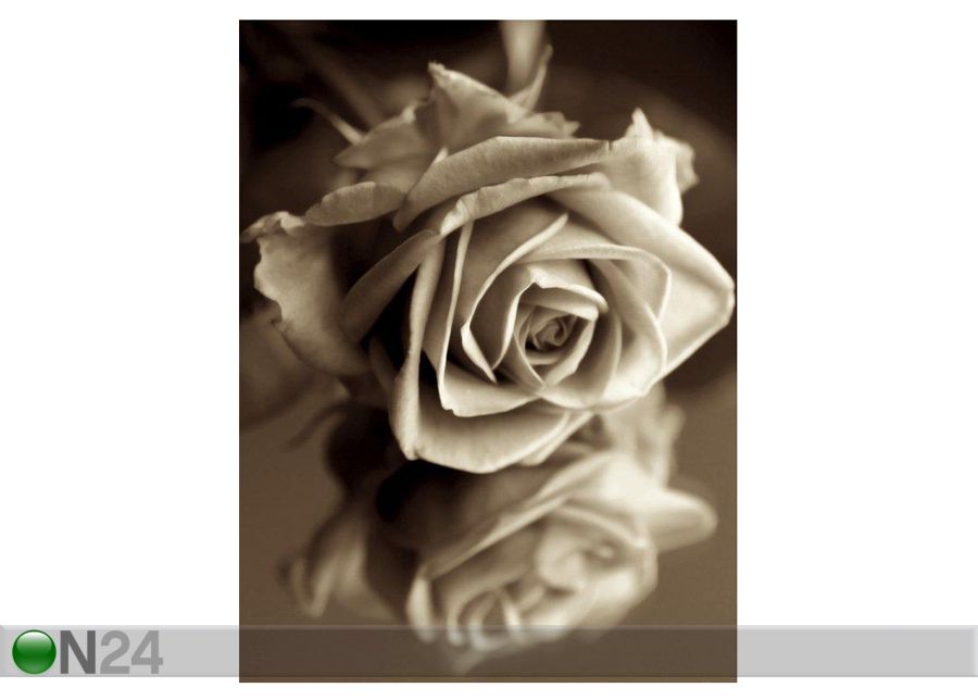 Taulu SEPIA ROSE 90x120 cm kuvasuurennos