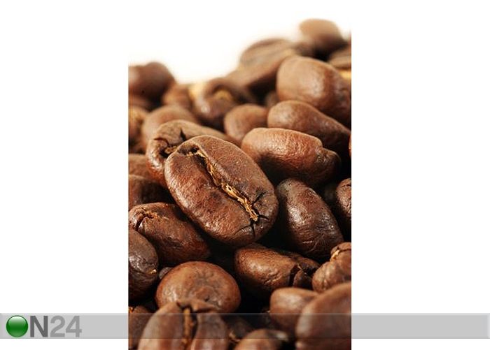 Taulu SHOT AND COFFEEBEANS 50x79 cm kuvasuurennos