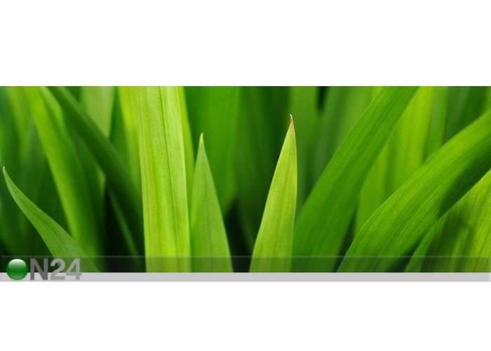 Taulu SMOOTH LEAVES 158x60 cm kuvasuurennos