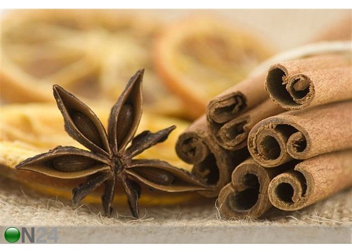 Taulu STAR ANISE WITH CINNAMON 60x40 cm kuvasuurennos