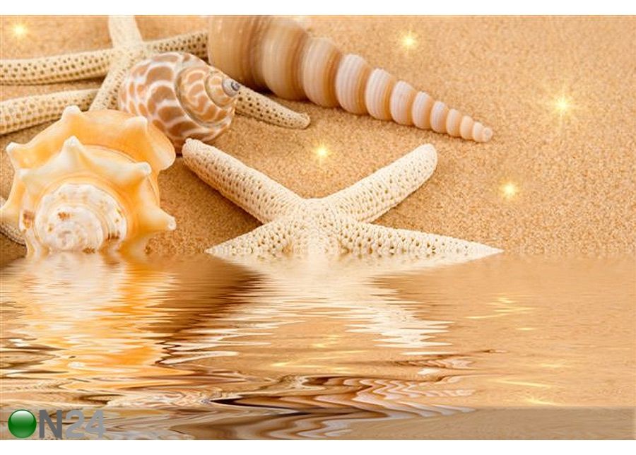 Taulu STARFISH AND SEASHELLS ON GOLDEN SAND 75x50 cm kuvasuurennos