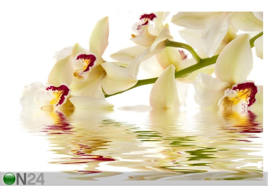 Taulu WHITE ORCHID 120x80 cm kuvasuurennos