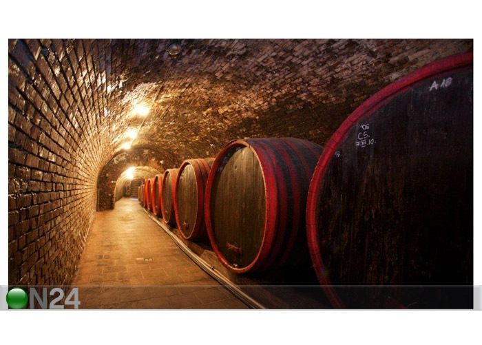 Taulu WINE BARRELS IN THE OLD CELLAR 2 86x50 cm kuvasuurennos