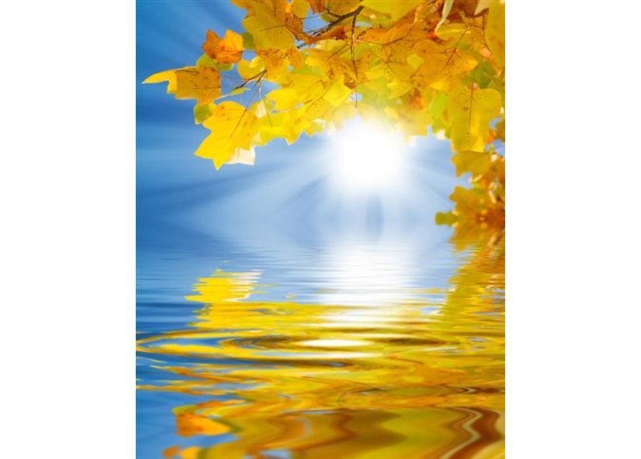 Taulu YELLOW LEAVES ON A BACKGROUND 120x149 cm kuvasuurennos
