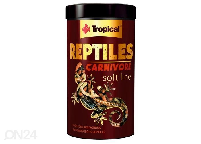 Täysravinto matelijoille carnivore 250 ml kuvasuurennos