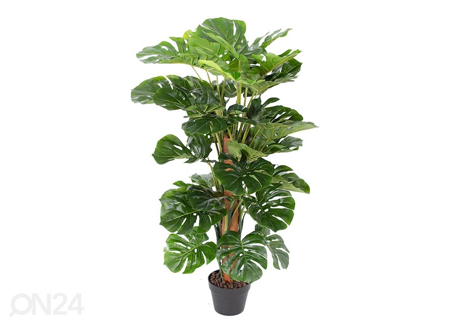 Tekokukka Monstera 105 cm kuvasuurennos