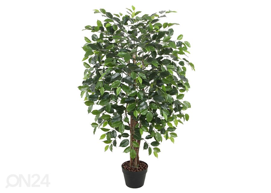 Tekopuu Viikunapuu 120 cm kuvasuurennos