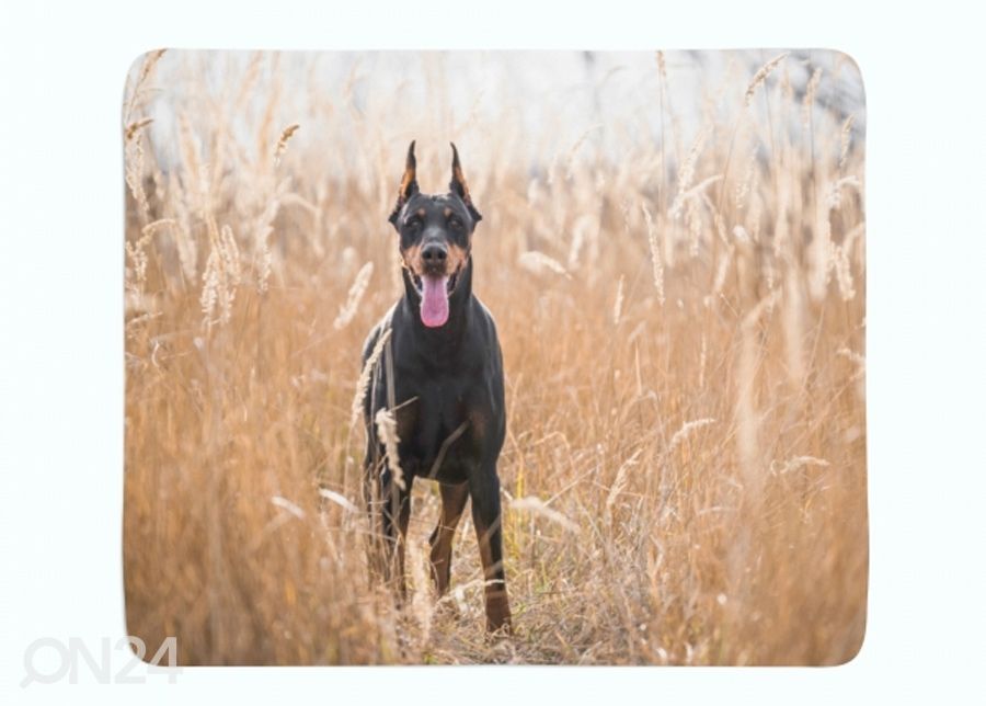 Torkkupeitto Doberman Pinscher in the Golden Grass 150x200 cm kuvasuurennos