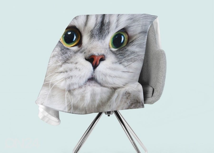 Torkkupeitto Gray Cat 130x150 cm kuvasuurennos