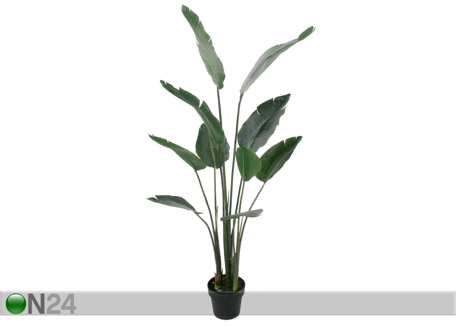 Traveller 160 cm kuvasuurennos