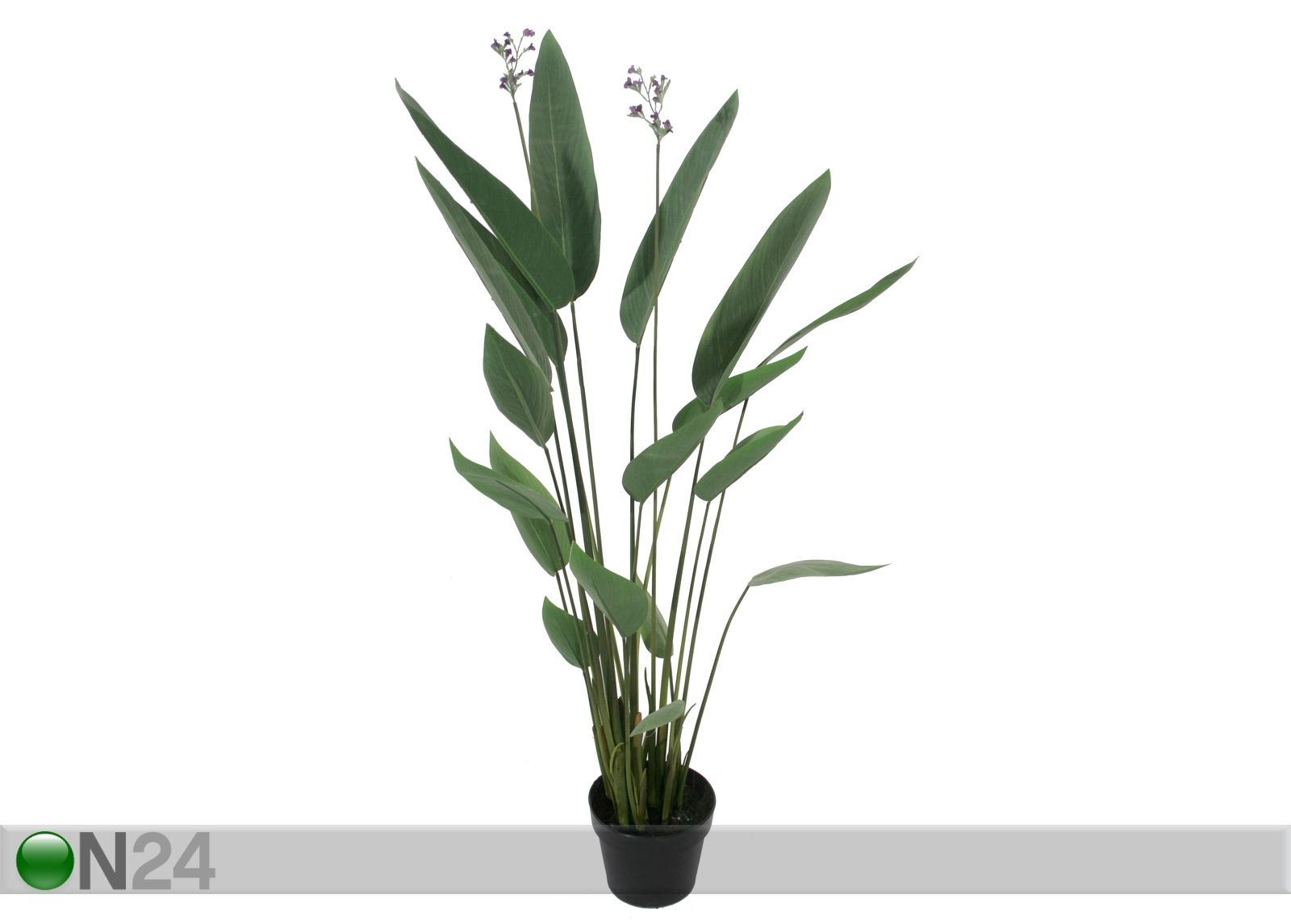 Trooppinen kasvi 117 cm kuvasuurennos