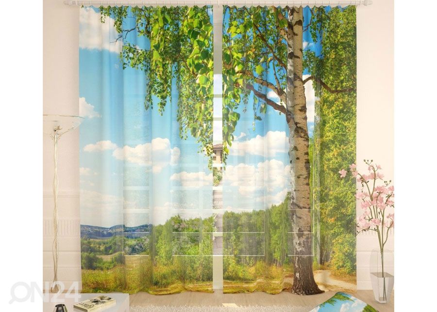 Tylliverho Birch 400x260 cm kuvasuurennos