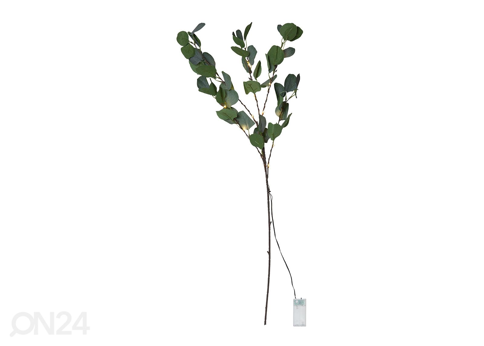 Valokoriste Eukalyptus kuvasuurennos
