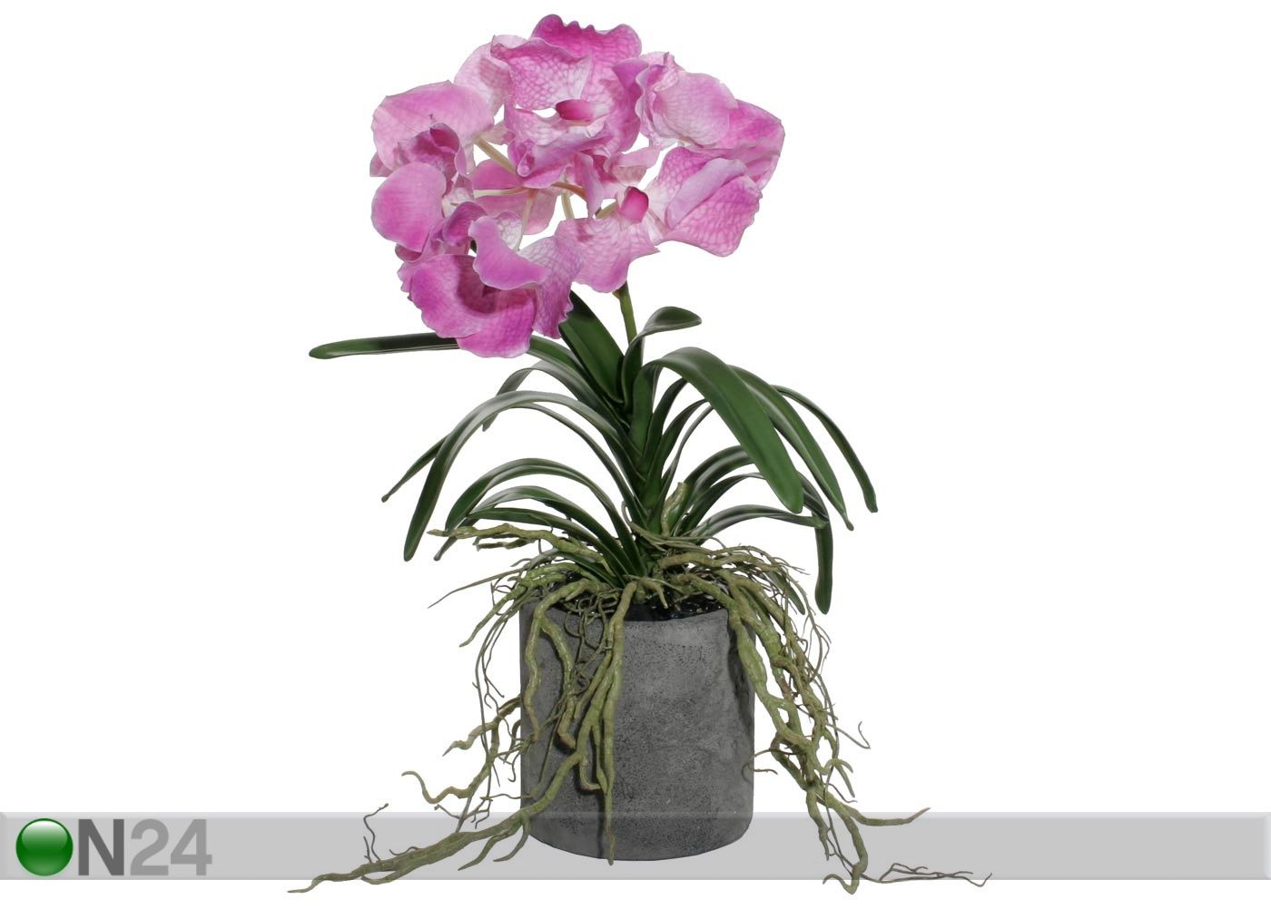 Violetti ORKIDEA kuvasuurennos