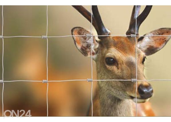 Eläinverkko 1,0x50m