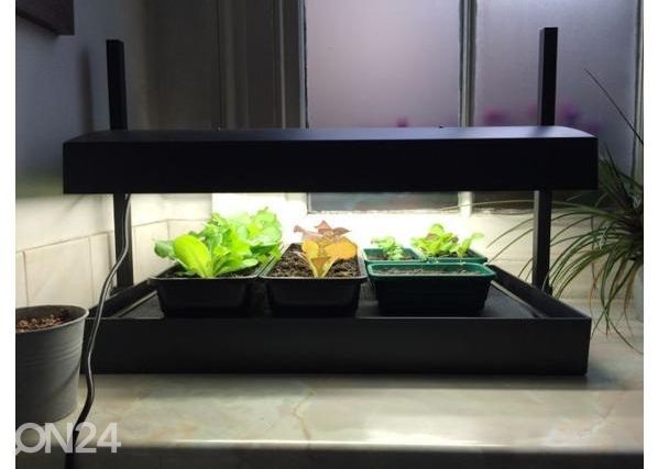 Esikasvatuslaatikko valaistuksella Micro Grow Light Garden 11 W, musta