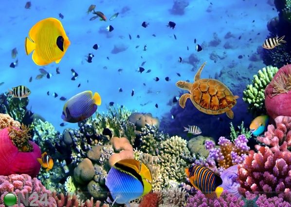 Fleece kuvatapetti BEAUTIFUL WORLD 360x270 cm