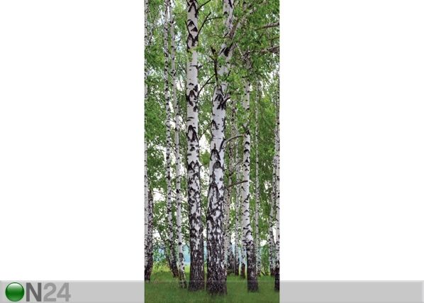 Fleece kuvatapetti BIRCH GROVE 90x202 cm
