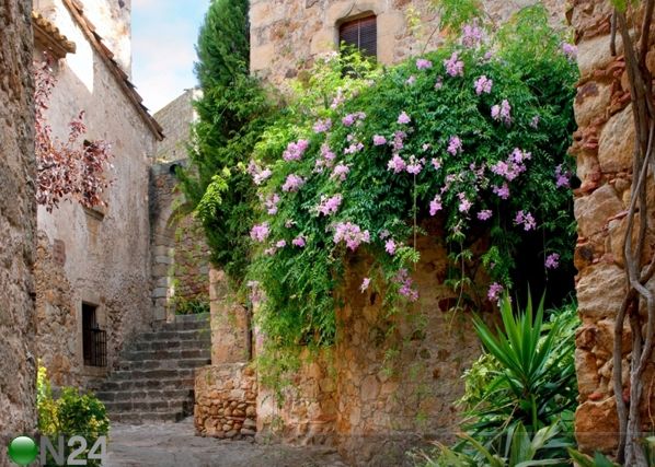 Fleece kuvatapetti COURTYARD 360x270 cm