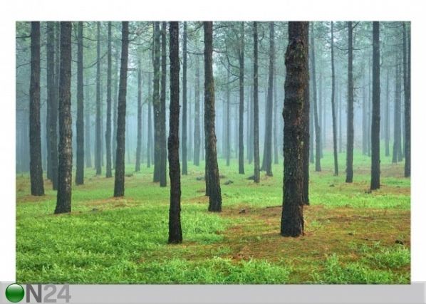 Fleece-kuvatapetti DEEP FOREST WITH PINES ON LA PALMA