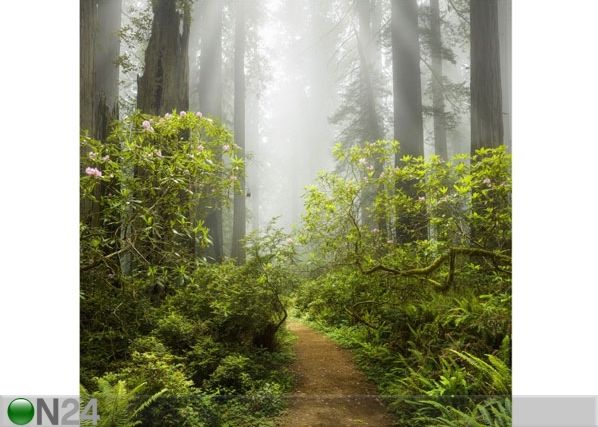 Fleece-kuvatapetti MISTY FOREST PATH
