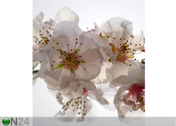 Fleece kuvatapetti PINK FLOWERS 180x202 cm