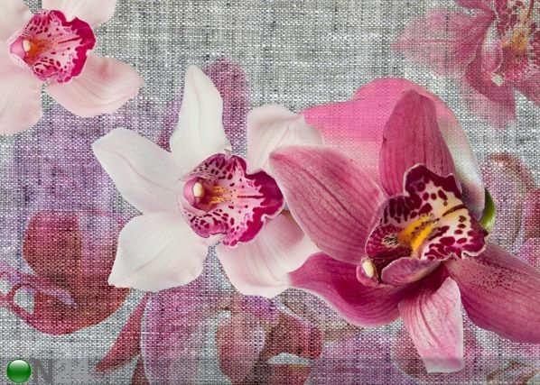 Fleece-kuvatapetti PINK ORCHIDS 360x270 cm