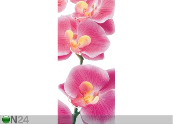 Fleece kuvatapetti PINK ORCHIDS 90x202 cm