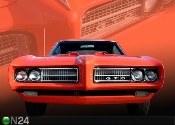 Fleece-kuvatapetti PONTIAC 360x270 cm