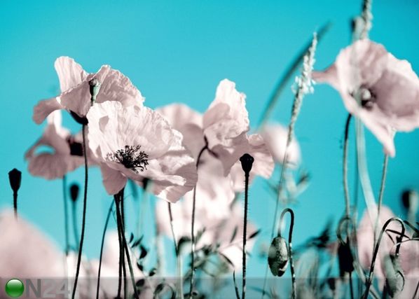 Fleece-kuvatapetti POPPY 360x270 cm