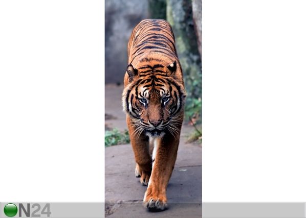 Fleece kuvatapetti TIGER 90x202 cm
