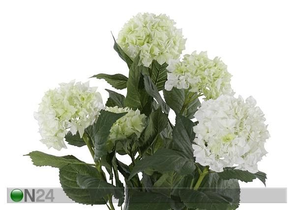 Hortensia 100 cm
