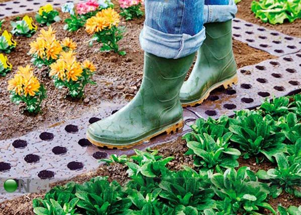 Jalankulku moduuli MAXI