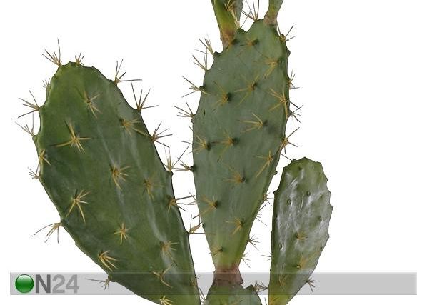 Kaktus 125 cm