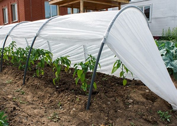 Kasvutunneli Agrohex 1,1x6 m